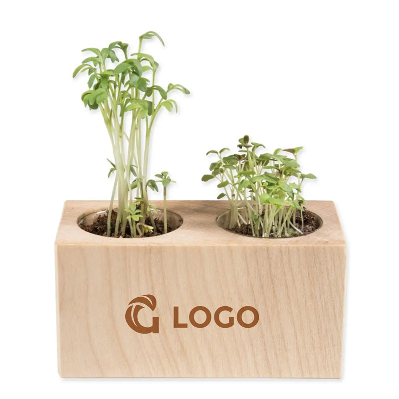 Plant set - Double | Eco gift